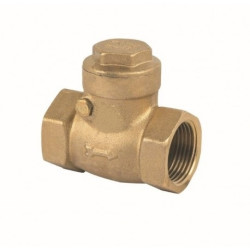Swing Check Valve - Brass 1 BSP, 16 Bar, 100°C, hot cold or oil